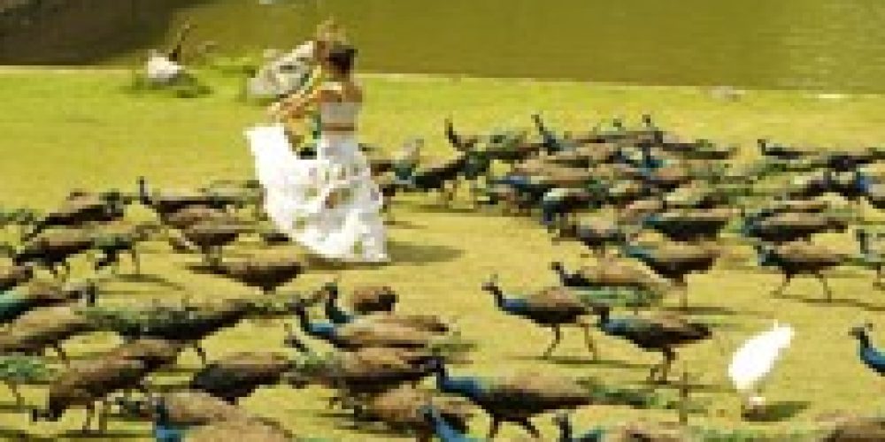 Xishuangbanna Primitive Forrest Park