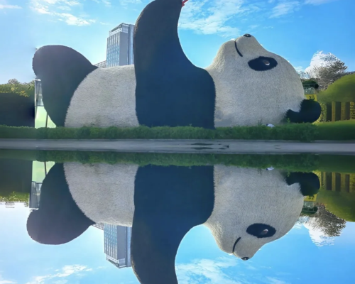 giant selfie panda