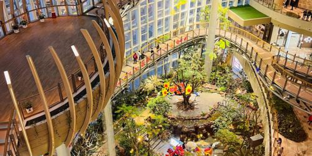 the ring shopping park2