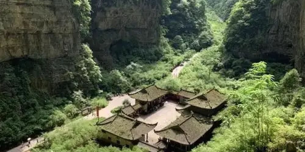 wulong photo 2