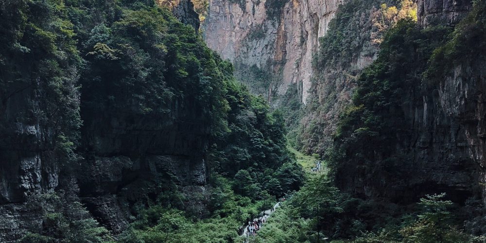 {"path":"/storage/emulated/0/DCIM/Camera/retouch_2023102015423415.jpg","isFromCamera":0,"orgFileTypeExtension":"jpg","orgWidth":2731,"orgHeight":4096,"orgUserComment":"{"data":{"pictureId":"31cd2e5eaddf47dca2b7f0a3c961dc63","appversion":"8.4.1","stickerId":"6978713522318347524","filterId":"6835598170978783757","infoStickerId":"","imageEffectId":"","playId":"","activityName":"","os":"android","product":"retouch","exportType":"","editType":""},"source_type":"douyin_beauty_me"}","orgFileModifiedDate":"2023:10:20 15:42:34","picSize":9525544}