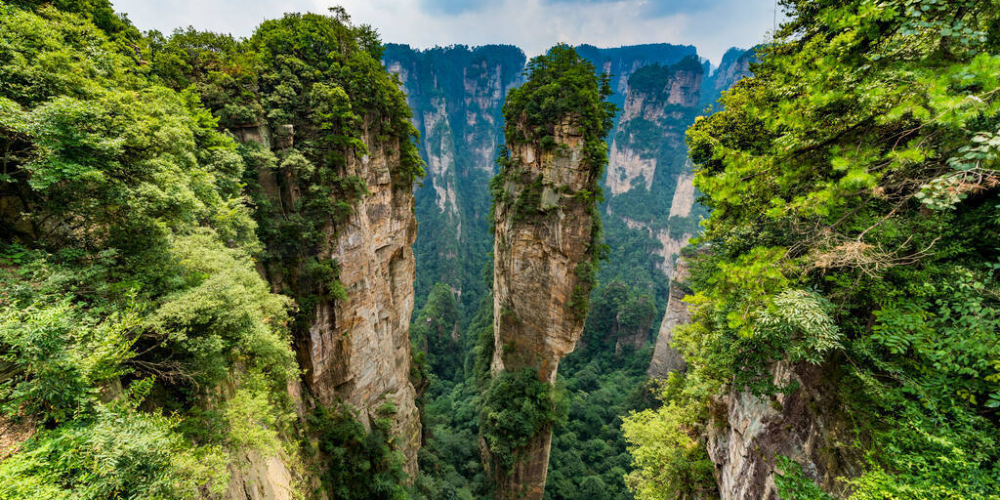 zhangjiajie avatar
